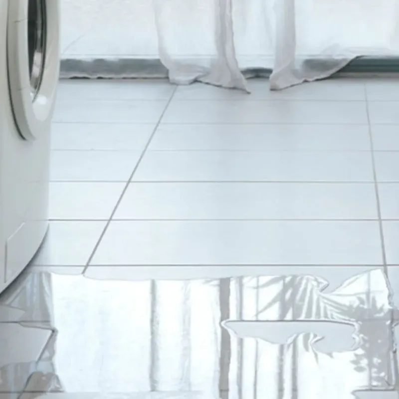 Appliance Leak Cleanup in Palatka, FL